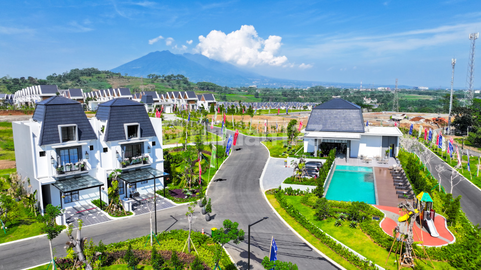 Type 7 Brown Premium