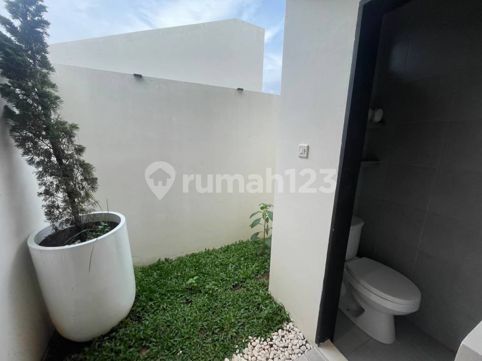 HWB 1B Gold (Backyard)