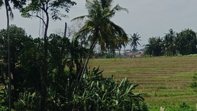 Jual Tanah Area Komplek Canggu Pemandangan Danau dan Taman