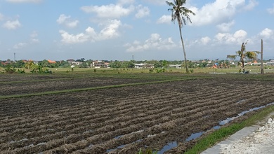 Tanah Siap Bangun Area Cluster Canggu Badung