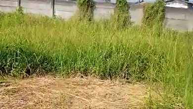Dijual Kavling 1500 m2 di Cluster Mewah Padalarang