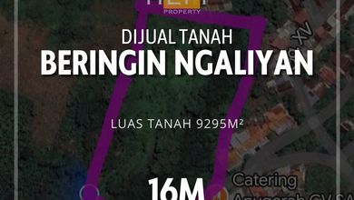 Jual Murah Tanah 9295 m2 Tempat Strategis