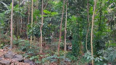 Jual Tanah di Cluster Cileunyi View Danau dan Taman