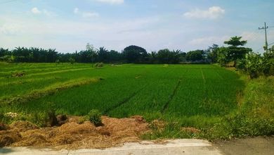 Jual Tanah Kawasan Cluster Menganti Pemandangan Danau dan Taman