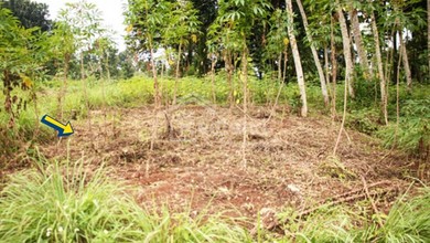 Tanah Komersial Pinggir Jalan Raya Area Ngaliyan
