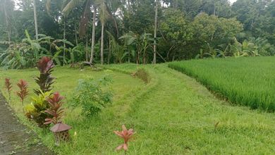 Kavling Perumahan x  Area Ubud
