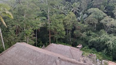 Rumah modern dengan Lahan 4000 m2 Kawasan Ubud, Gianyar