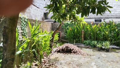 Tanah Dekat Komersil Lokasi Canggu, Ideal untuk Buka Bisnis