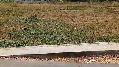 Kavling dengan Nilai Terjangkau Kawasan Padalarang Bandung
