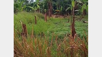 Jual Tanah Area Strategis, LT 20000 m2