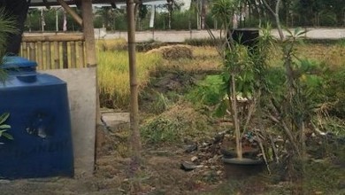 Dijual Kavling 3339 m2 Lokasi Komplek Mewah Padalarang