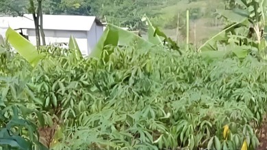 Tanah Dekat Komersil Kawasan Bandung Barat, Cocok untuk Buka Usaha