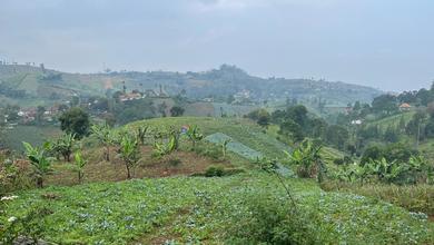 Jual Murah Tanah 6395 m2 Area Strategis