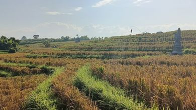 Jual Tanah Lokasi Strategis, Luas 220000 m2