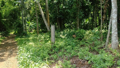 Tanah Siap Bangun Lokasi Cluster Gunung Pati Semarang