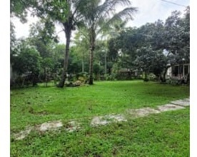 Tanah Tidak Terkena Banjir Ukuran 1072 m2, Disewa dengan Harga Terjangkau