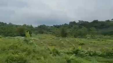 Kavling dengan Harga Murah Daerah Gunung Pati Semarang