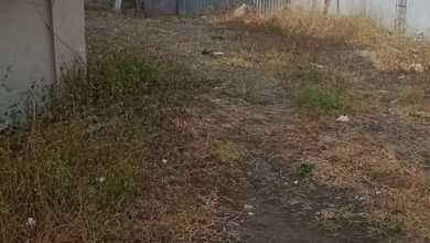 Jual Tanah Lokasi Komplek Gayamsari Pemandangan Danau dan Taman