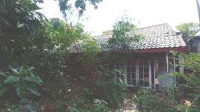 Jual Rumah Terkini di Kalibata, Jakarta Selatan Luas 733 m2