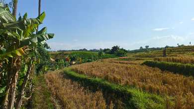 Jual Tanah di Cluster Canggu View Danau dan Taman