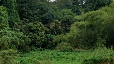 Jual Murah Tanah Di Jl.meruyung Limo Cinere Kota Depok