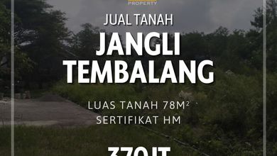 Tanah Komersial Pinggir Jalan Raya Kawasan Jangli