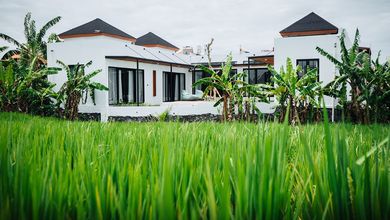 New Brand Villa For Rent or Leasehold pemium Villa for long term at Kedampang, Kerobokan