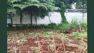 Jual Tanah Area Cluster Jati Padang View Danau dan Taman