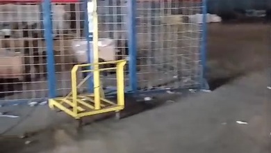 Gudang Luas di Subang Mulai  500 Juta  Dekat Kawasan Industri & Tol Kalijati