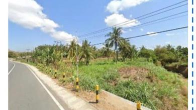 Kavling dengan Harga Murah Kawasan Pujut Lombok Tengah