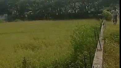 Kavling Perumahan x  Kawasan Bojonegoro
