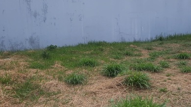 Sewa Tanah Tahunan dengan Harga Terjangkau Lokasi Sunter