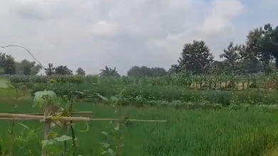 For Sale Tanah Premium di Bojonegoro, Bojonegoro, LT 5573m²