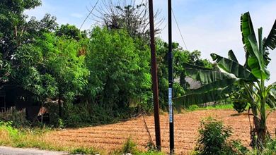 Tanah LT 2478 m2 Lokasi Strategis Babelan, Dijual Murah