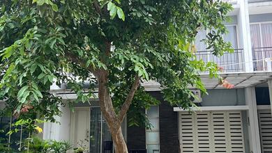 Rumah Dijual di BSD, Tangerang Selatan, LB 18m², Harga Terbaik!