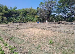 Dijual Kavling 3166 m2 Area Komplek Mewah Lakarsantri