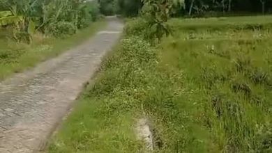 Tanah LT 5933 m2 Area Strategis Bojonegoro, Dijual Terjangkau