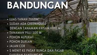 Tanah Komersial Pinggir Jalan Raya Area Bandungan