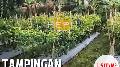Dijual Kavling 213 m2 Lokasi Cluster Mewah Boja