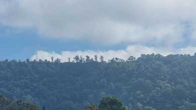 Tanah Komersial Dekat Jalan Raya Kawasan Bedugul