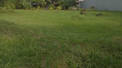 Tanah Bisnis Dekat Jalan Raya Daerah Pantai Indah Kapuk