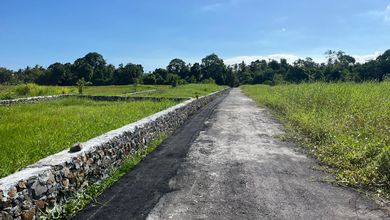 Tanah Komersial Pinggir Jalan Raya Daerah Canggu