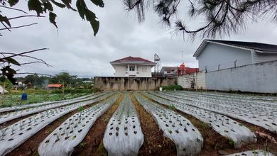 Kavling dengan Nilai Murah di Lembang Bandung