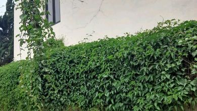 Rumah Premium LT 100 Jual di Parongpong, Bandung Barat