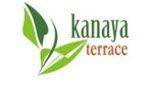 logo-developer