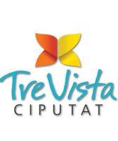 logo-developer