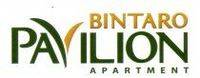 logo-developer