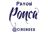 logo-developer