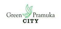 logo-developer