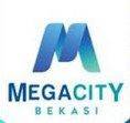 logo-developer